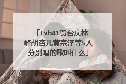 tvb41贺台庆林峰胡杏儿黄宗泽等5人分别唱的歌叫什么