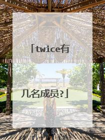 twice有几名成员?