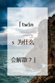 twins 为什么会解散?
