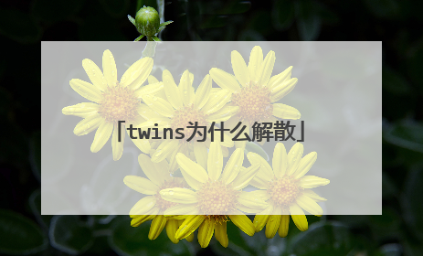 twins为什么解散