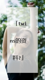 twins的资料?