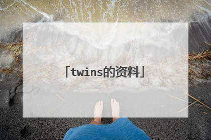 twins的资料