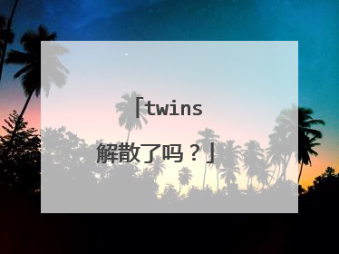 twins解散了吗?