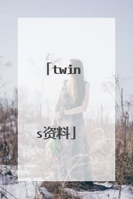 twins资料