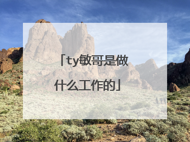 ty敏哥是做什么工作的