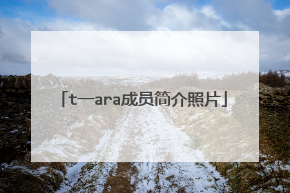 t一ara成员简介照片