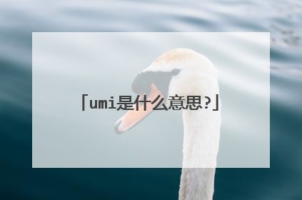 umi是什么意思?
