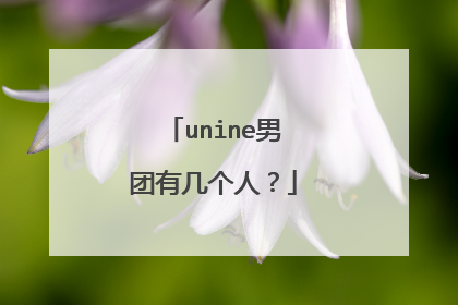 unine男团有几个人？