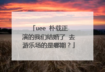 uee 朴载正 演的我们结婚了 去游乐场的是哪期?