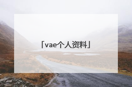 vae个人资料