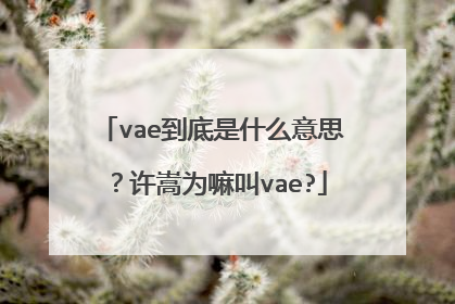 vae到底是什么意思？许嵩为嘛叫vae?