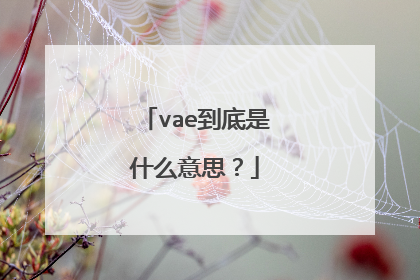 vae到底是什么意思？