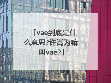vae到底是什么意思?许嵩为嘛叫vae?
