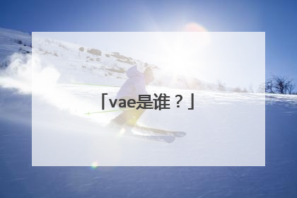 vae是谁?