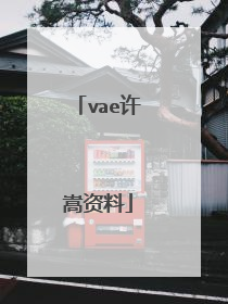 vae许嵩资料