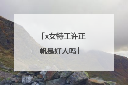 x女特工许正帆是好人吗