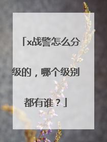 x战警怎么分级的，哪个级别都有谁？