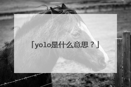 yolo是什么意思？