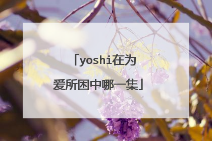 yoshi在为爱所困中哪一集