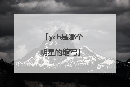 ych是哪个明星的缩写