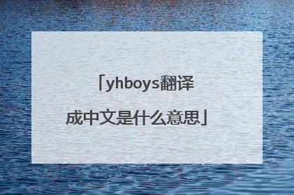 yhboys翻译成中文是什么意思