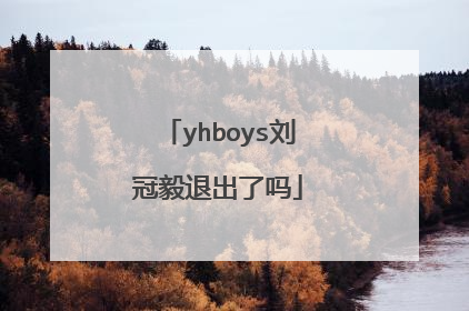 yhboys刘冠毅退出了吗