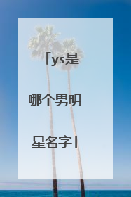ys是哪个男明星名字