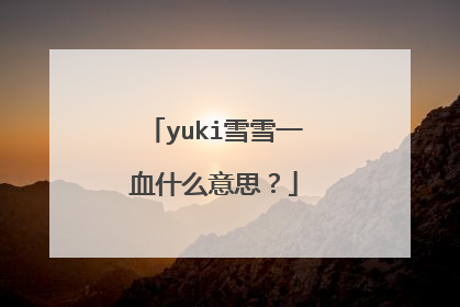 yuki雪雪一血什么意思？