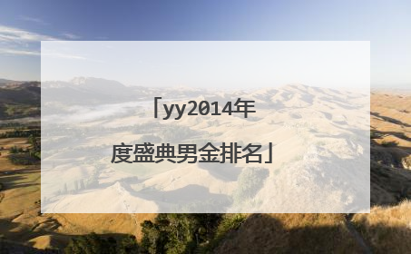 yy2014年度盛典男金排名