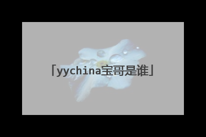 yychina宝哥是谁