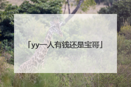 yy一人有钱还是宝哥