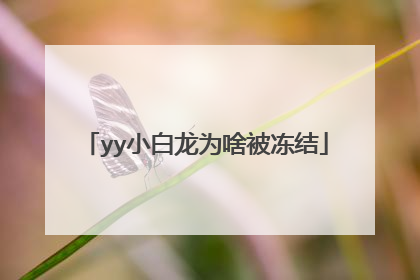 yy小白龙为啥被冻结