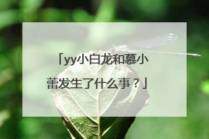 yy小白龙和慕小蕾发生了什么事？