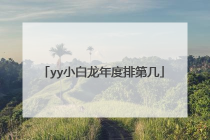 yy小白龙年度排第几