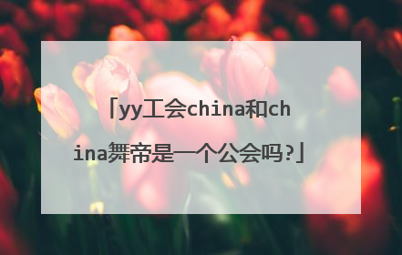 yy工会china和china舞帝是一个公会吗?