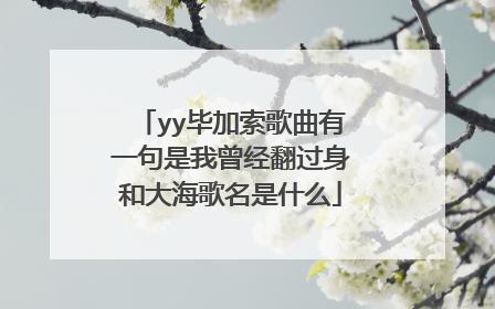 yy毕加索歌曲有一句是我曾经翻过身和大海歌名是什么