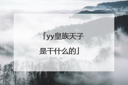 yy皇族天子是干什么的