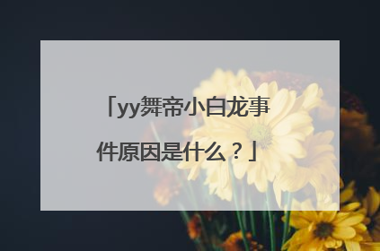 yy舞帝小白龙事件原因是什么?