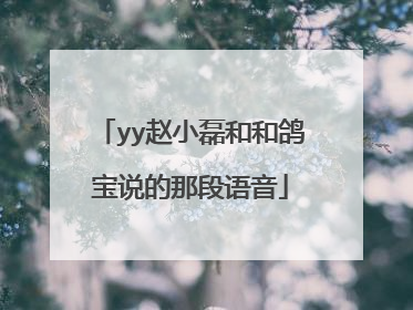 yy赵小磊和和鸽宝说的那段语音