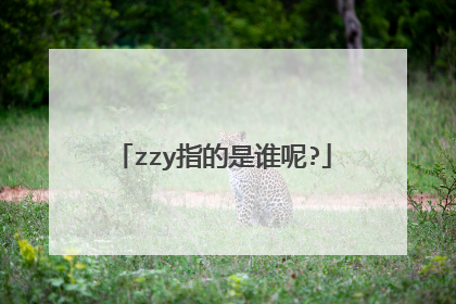 zzy指的是谁呢?