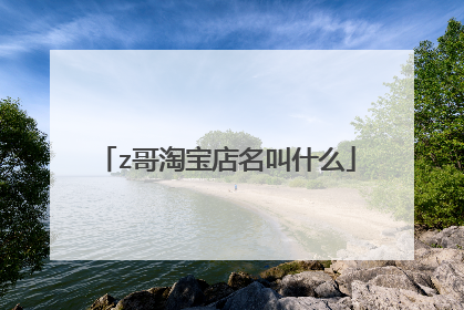 z哥淘宝店名叫什么
