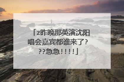 z昨晚那英演沈阳唱会嘉宾都谁来了???急急!!!!