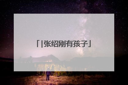 |张绍刚有孩子